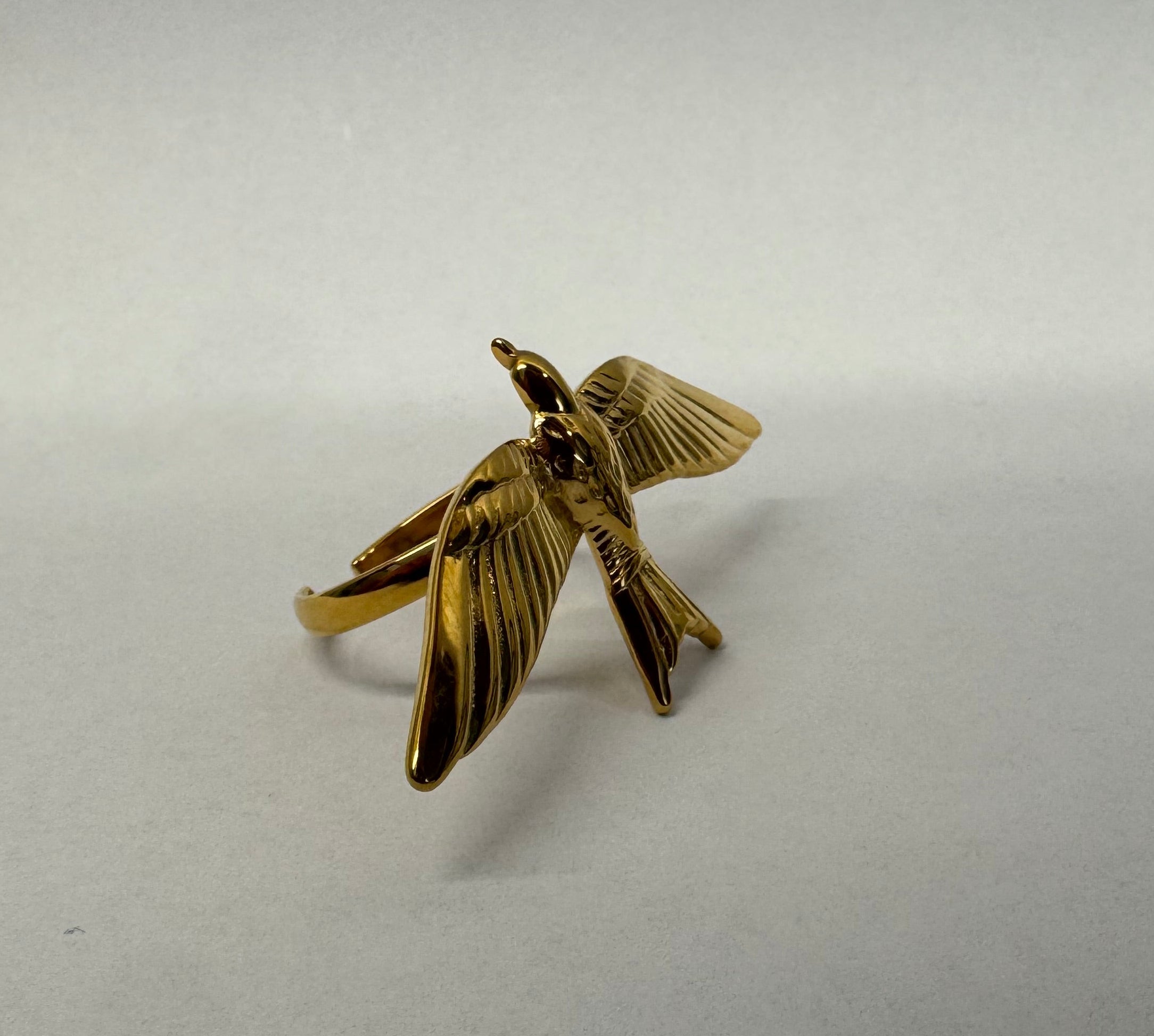 Bird Ring